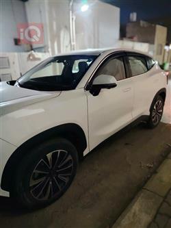 جيتور داشينج